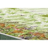 Cama Box Baú Solteiro: Colchão Anatômico Anjos D28 / AG65 Pantanal + Base CRC Courano White(88x188) - 2