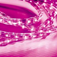 Fita Led Taschibra 5w/m Ip67 220v Alta Proteção Cores Metro Rosa - 1
