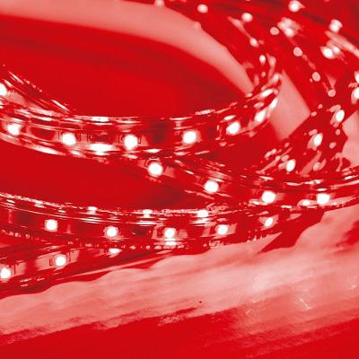 Fita Led Taschibra 5w/m Ip67 220v Alta Proteção Cores Metro Vermelha