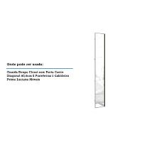 Porta Para Roupeiro Canto 40cm Inox Com Espelho Espelho - 2