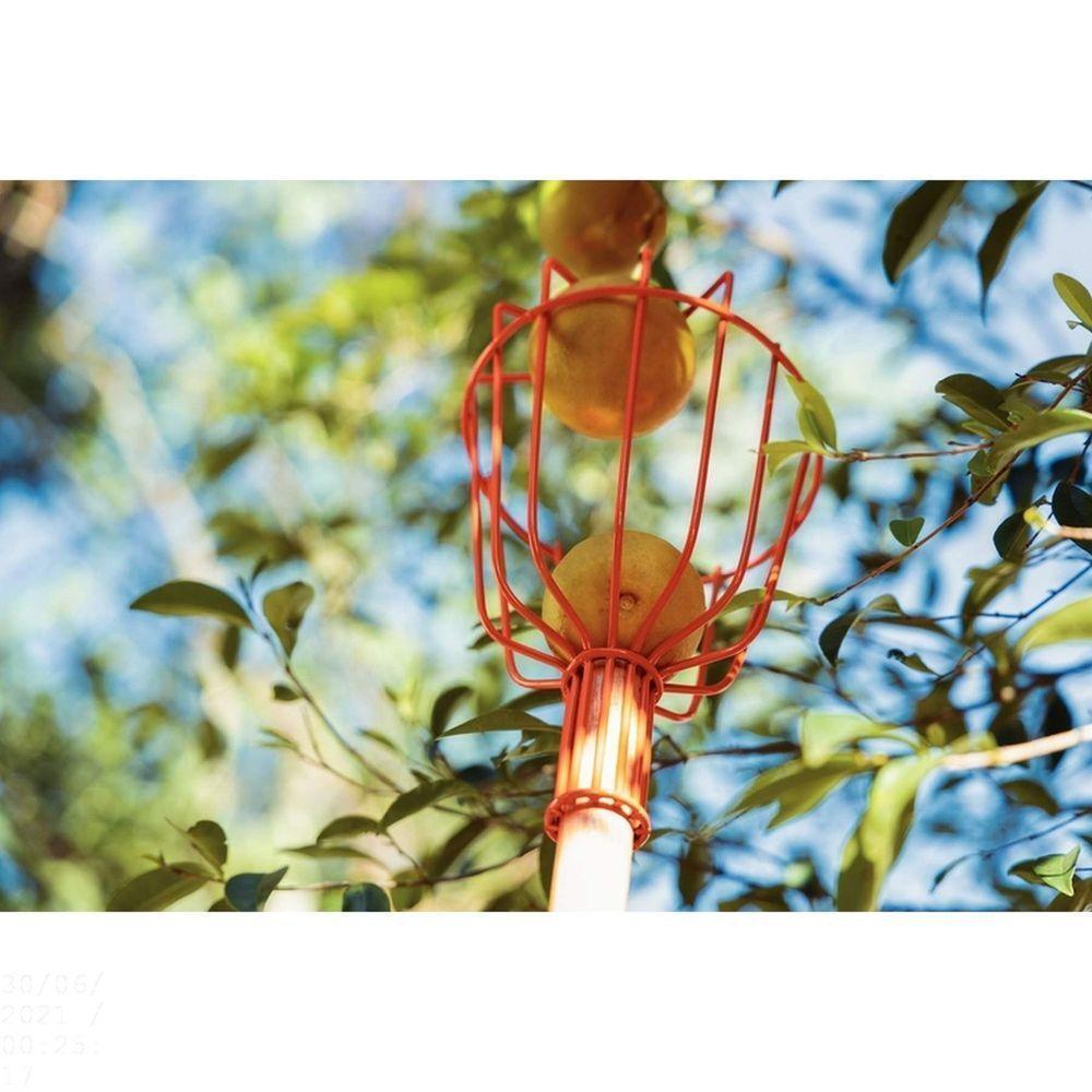 Colhedor De Frutas Médio Tramontina Em Aço Sem Cabo Tramontina - 2