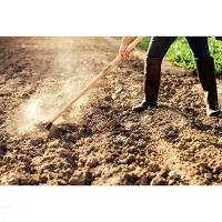 Enxada Estreita 1.5 Tramontina Em Aço Com Cabo De Madeira 130 Cm Tramontina