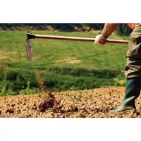 Enxada Larga 2.0 Tramontina Em Aço Com Cabo De Madeira 130 Cm Tramontina