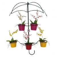 Suporte Plantas Guarda Chuva Preto 5 Vasos. - 1