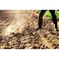 Enxada Estreita 1.5 Tramontina Em Aço Sem Cabo Tramontina - 2