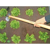 Enxada Com Haste 6" Tramontina Em Aço Com Cabo De Madeira 120 Cm Tramontina - 4