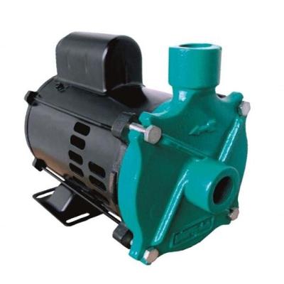 Motobomba Standard Hobby 1/2Cv 60Hz 110V Mcs-50M Eletroplas