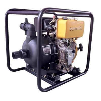 Motobomba Diesel 2'' Para Produtos Químicos 7Cv 306Cc 70728