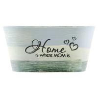 Kit 2 Mini Vasos De Planta Cachepot Estampados Decorados 9cm - 1