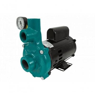 Motobomba Injetora 1/3Cv 60Hz 110/220V I-110 Eci-33M