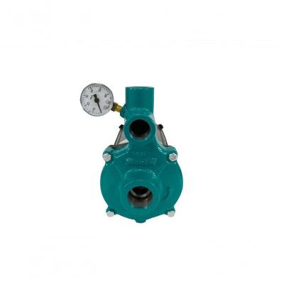 Motobomba Injetora 3/4Cv 60Hz 110/220V I-109 Eci-75