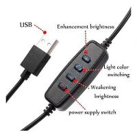 Luz Ring Light 10 Pol Led 3500/5500k Tripé Suporte Celular - 5