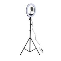 Ring Light Iluminação Portátil Com Tripé Filmagem Celular - 12