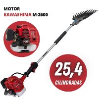 Derriçadeira De Café Kawashima C/ Mãozinha De Garra Simples - 1