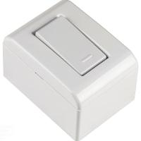 Caixa De Sobrepor Com 1 Interruptor Simples 10 A 250 V Tramontina Lizflex Branca Tramontina - 2