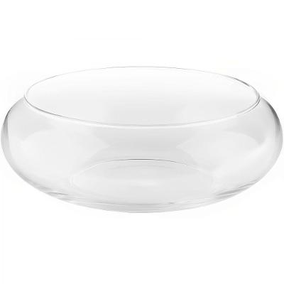 Vaso Terrario De Vidro Gigante Para Suculentas 19X29X33Cm