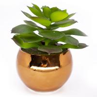 Vaso Decorativo Dourado Com Suculenta Artificial Sedum Hirsutum 12x8 Cm F04 - D'rossi - 1