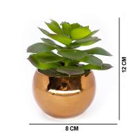 Vaso Decorativo Dourado Com Suculenta Artificial Sedum Hirsutum 12x8 Cm F04 - D'rossi