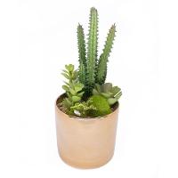 Vaso Decorativo Dourado Com Cactos E Suculenta Artificial 19x8 Cm F04 - D'rossi - 1