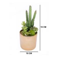 Vaso Decorativo Dourado Com Cactos E Suculenta Artificial 19x8 Cm F04 - D'rossi - 3