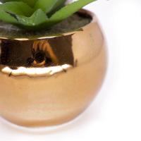 Vaso Decorativo Dourado Com Suculenta Artificial Aloe Vera Mini 16x8 Cm F04 - D'rossi - 3