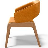 Cadeira De Jantar E Estar Living Estofada Lince L02 Couríssimo Whisky - Lyam Decor - 2