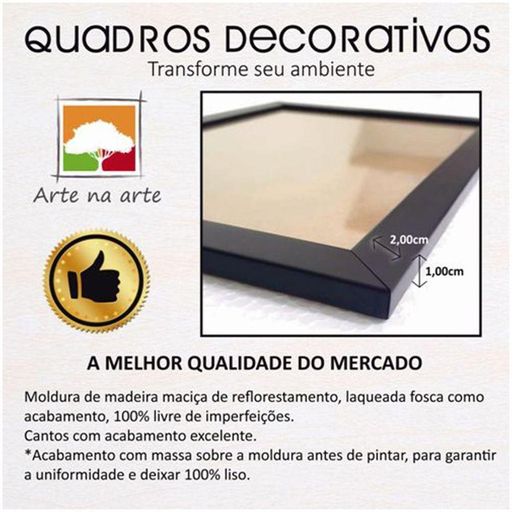 Kit 3 Certificados Diplomas A4 Com Tela De Acetato E Mdf Titulos Moldura Preta - 4