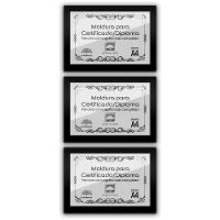 Kit 3 Certificados Diplomas A4 Com Tela De Acetato E Mdf Titulos Moldura Preta - 1