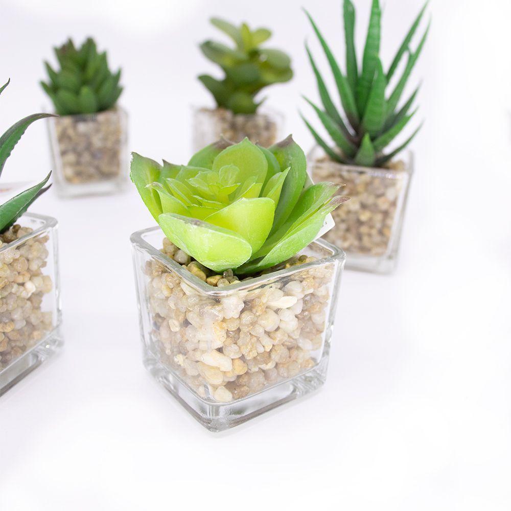 Kit 06 Suculentas Sortidas Com Vasos 13x5 Cm - D'rossi - 3