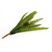 Samambaia Folhagem Artificial Com Print Verde 10x65 Cm - D'rossi - 1