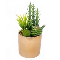 Vaso Decorativo Dourado Com Mix De Suculentas Artificiais 19x8 Cm F04 - D'rossi