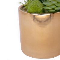 Vaso Decorativo Dourado Com Mix De Suculentas Artificiais 19x8 Cm F04 - D'rossi - 9