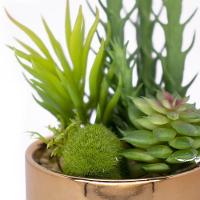 Vaso Decorativo Dourado Com Mix De Suculentas Artificiais 19x8 Cm F04 - D'rossi - 13