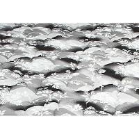 Cama Box Queen: Colchão Espuma D33 Luckspuma Supreme Black Pró Saúde Duplo + Base CRC Suede Black(158x198) - 3