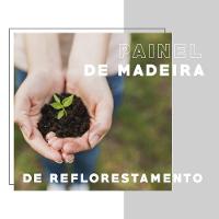 Conjunto Sala De Jantar Tallim Com Mesa E 2 Cadeiras 2999 Carraro - 2