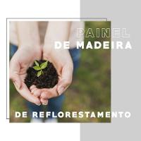 Conjunto Sala De Jantar Carraro Galway Com Mesa E 4 Cadeiras - 2