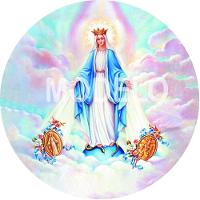 Capa Para Estepe Ecosport Crossfox Nossa Senhora Das Graças - 1