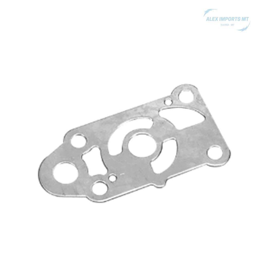 Placa Bomba De Agua Externa Mercury 3.3hp Motores 2 Tempos - 2
