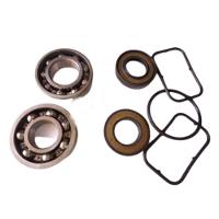 Rolamento Yamaha Turbina Vx 700 Vx 1100 Pra Barco - 1