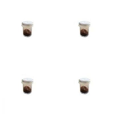 4 Pó de Mico Extra Forte R+