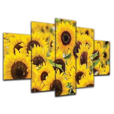 Kit Placas Decorativas 5 Peças 3D Borda Infinita Girassol