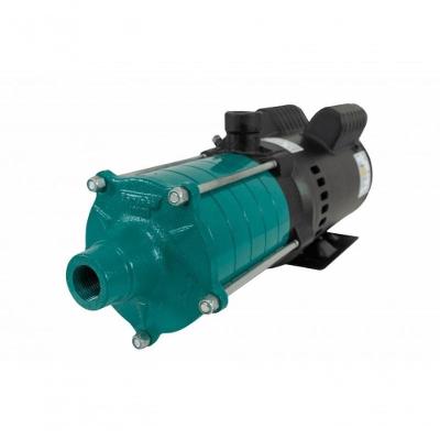 Motobomba Centrífuga Multiestágio 3Cv 60Hz 110/220V Ecm-300M