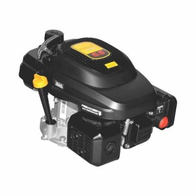 Motor Gasolina Vertical 6,5Cv 196Cc 4T Outboard 60697