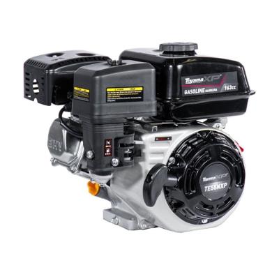 Motor Gasolina Toyama 5,5Hp 163Cc 4T Eixo 3/4" Sem Te55N-Xp