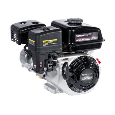 Motor Gasolina Toyama 6,5Hp 4T 196Cc Eixo 3/4" Sem Te65N-Xp