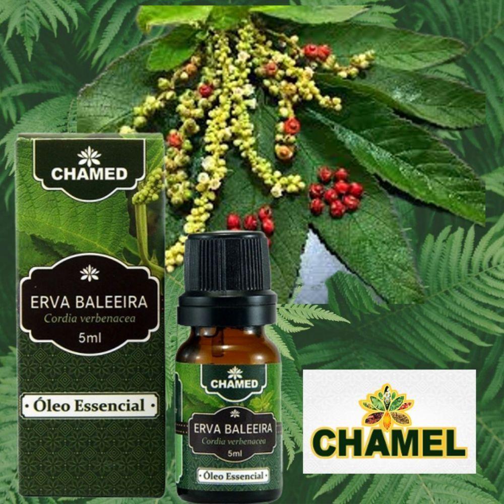 Óleo Essencial De Erva Baleeira 5ml 100% Puro Chamed - 4