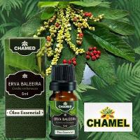 Óleo Essencial De Erva Baleeira 5ml 100% Puro Chamed - 3