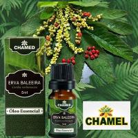 Óleo Essencial De Erva Baleeira 5ml 100% Puro Chamed - 4