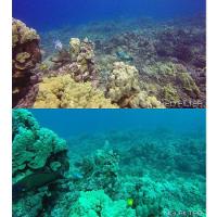 Filtro de Mergulho Vermelho para Câmeras GoPro Hero 3+, 4 - 3