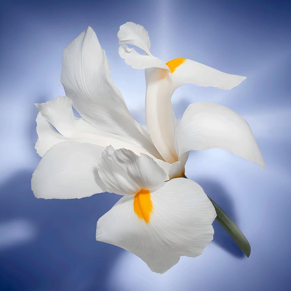 Lancôme La Vie Est Belle Eau De Parfum - Perfume Feminino Refil 100ml - 2